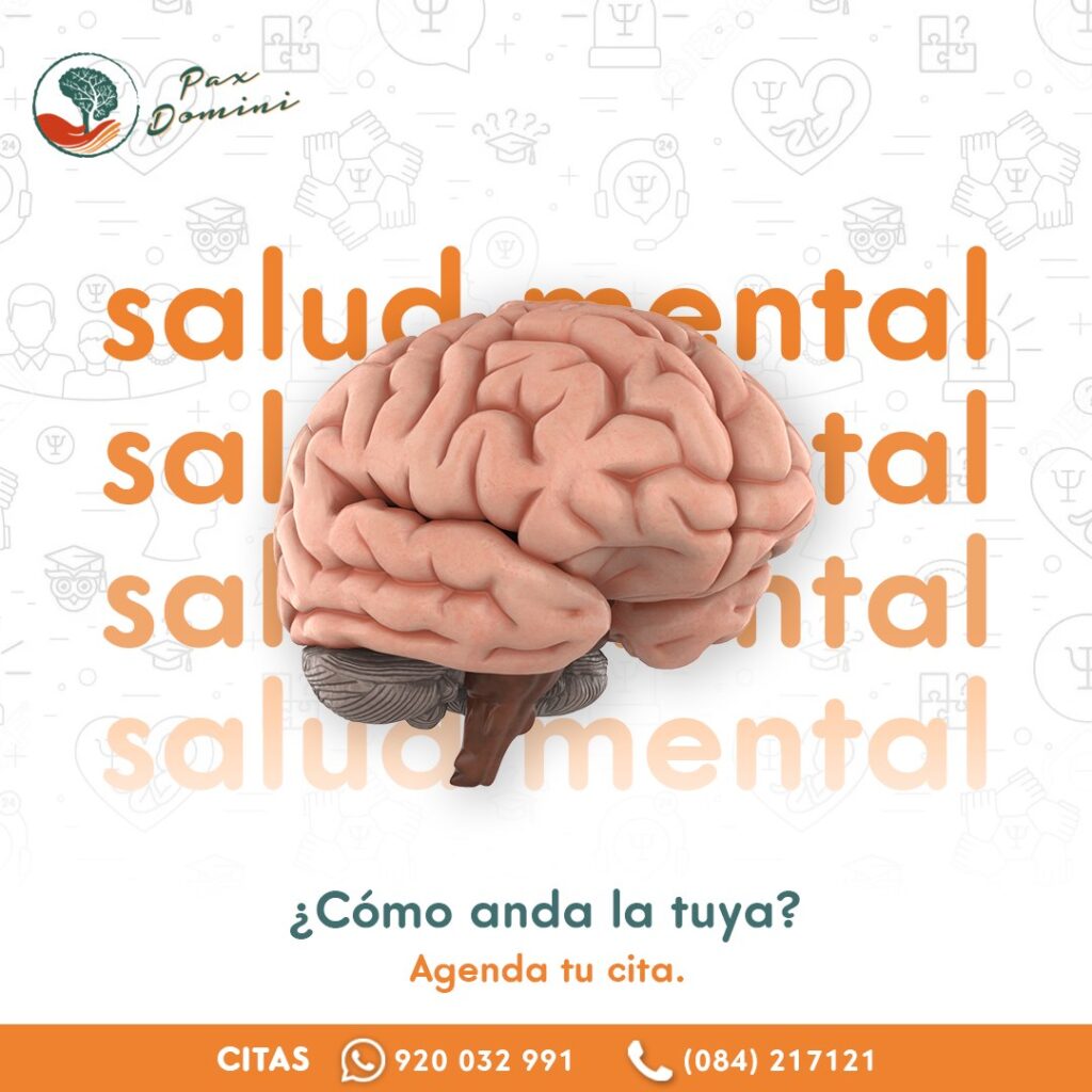 Pax Domini Centro de Salud Mental Psicologia Cusco